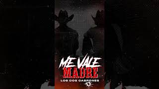 Los Dos Cabrones  Me Vale Madre morenamusic musicamexicana estrenos nuevamusica [upl. by Wendi]