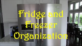 Fridge and Freezer Organization  Dollar Tree Organization [upl. by Robb]