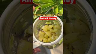 Immunity booster for winter Amla honey recipe homemade remedy for cough cold in children roxpinky [upl. by Yniar]