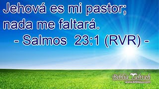 David entendía que todo proviene de Dios – Salmos 23 1 – 3 y Filipenses 4 18 – 19 [upl. by Leirrad]