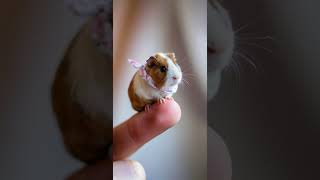 TINY ANIMALS shortMiniature short animals ai trending ai animals aiminiature cuteanimals [upl. by Evante]