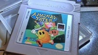 Finding one of the Rarest Game Boy games at a garage sale for a 1 [upl. by Dolli]