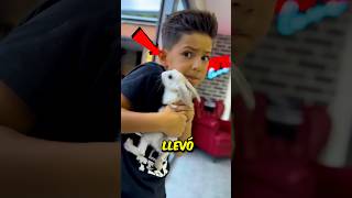 Trajo a su Conejo de compañía 🐇 a la Escuela 🏫 Pero lo que pasó después te sorprenderá 😱 [upl. by Bigot674]