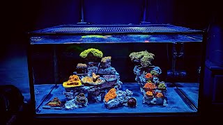 How to set up a Saltwater Reef Aquarium for beginners 2021 [upl. by Mahla]