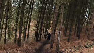 Sloppy Cannock chase MTB [upl. by Epoh]