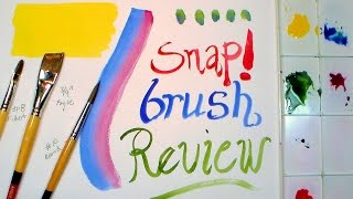 Cheap Brush Review SNAP Brushes by Princeton [upl. by Harac]