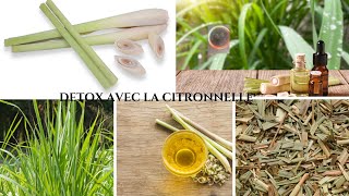 La Citronnelle  Le Detoxifiant Idéal Pour La Peau Et Les Organes [upl. by Irot]