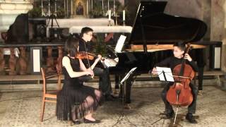 Trio Rupnik play Gardel Por una Cabeza [upl. by Hazelton730]