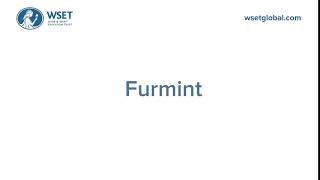 How to say it Furmint [upl. by Eylloh]