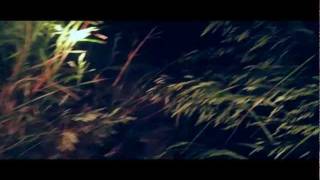 Shlohmo  Trapped In A Burning House Official Video [upl. by Atikal39]