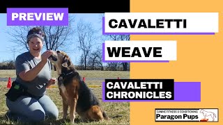 Cavaletti Weaves Sneak Preview [upl. by Ashil]