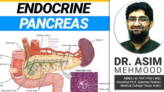 Endocrinology  Biology of Endocrine Pancreas  Hindi  Urdu [upl. by Notsnhoj]