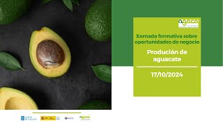 Produción de aguacate Xornadas formativas sobre oportunidades de negocio [upl. by Shandeigh340]