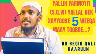 quotYallih Farmoyti sqw 5 takke weeqay Yallal nek xayyoose maay taaxigequot Dr seqid Qali Haaruun [upl. by Jagir645]