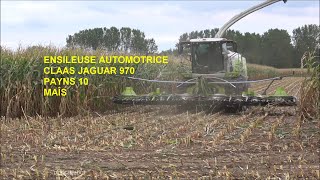 ENSILEUSE AUTOMOTRICE  CLAAS JAGUAR 970 PAYNS AUBE [upl. by Einre]