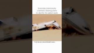 Scientists Reveal How to Survive a Plane Crash [upl. by Langsdon565]