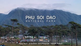 Phu Soi Dao National Park Thailand 2024 Nov 2123 ภูสอยดาว 2123 พย 2567 [upl. by Anyer]