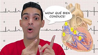 ¡El SISTEMA de CONDUCCIÓN ELÉCTRICA del CORAZÓN ANATOMÍA y FISIOLOGÍA [upl. by Eisenberg]