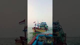 ALMOST SINKING  THE CHARM OF CANTRANG BOATS WITH FISH FUEL LOADSboat automobileshipshortsfyp [upl. by Ataner]