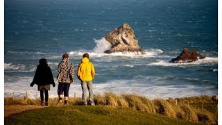 Sandfly Bay  Insiders Dunedin [upl. by Savannah650]