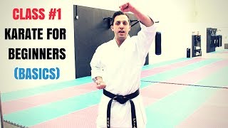 Martial Arts for Beginners – Lesson 1  Basic Karate Cobra Kai Techniques [upl. by Noxin]