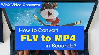 How to Convert FLV to MP4 in Seconds [upl. by Vareck]