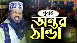 আল্লামা তারেক মনোয়ার নতুন ওয়াজ ২০২৪ allama tarek monowar new waz 2024 Bangla Full Waz 2024 [upl. by Hayyikaz]