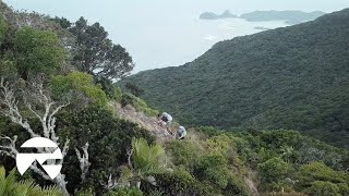 Summiting Mount Gower  Lord Howe Island [upl. by Faustine]