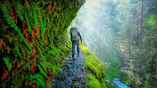 Eagle Creek Trail  Oregon USA  Stunning Footage [upl. by Nnyloj]