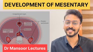 Development of Mesentery  Anatomy Dr Mansoor Malayalam Lecture [upl. by Halac]