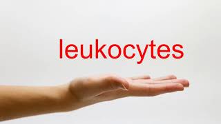 How to Pronounce leukocytes  American English [upl. by Coplin]