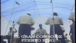 EL GRAN COMBO COMPAÑERA MIA Y TIMBALERO EN PR [upl. by Rehtaef]