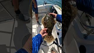 Barnegat Bay Flounder Fishing [upl. by Ytima47]