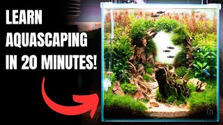 2024 Complete Aquascaping Beginners Guide  Learn ALL The Basics [upl. by Eustacia308]