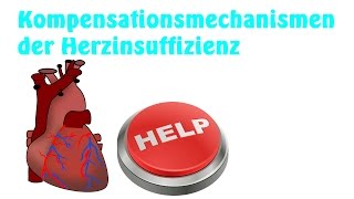 Kompensationsmechanismen der Herzinsuffizienz einfach erklärt [upl. by Lyrak]