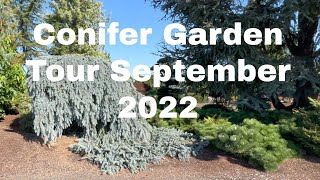 Conifer Garden Tour Jean Iseli Memorial Gardens September 2022 [upl. by Ilona]