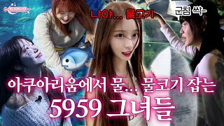 5959 물물코기 보러 아쿠아리움 출격 [upl. by Kiran]