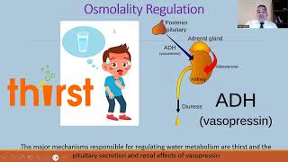 01 Hyponatremia  Introduction Basic Concepts [upl. by Kirbie]