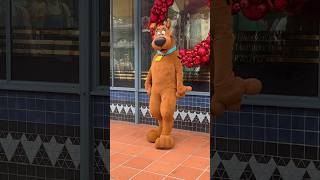 Like zoinks Scoob scoobydoo shaggy universalorlando [upl. by Ebbarta]