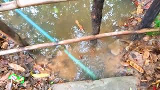 Blocked Street Drain With Leaves Rubbish​​ Debris Flowing Into Drain [upl. by Forrest]