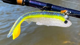 Bulbous Tail Finesse Sexy Shad Open Pour Soft Plastic [upl. by Noled]