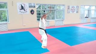 Hanshi Hiroshi Akamine  Ryukyu Kobudo Shimbukan Kanegawa no nicho gama [upl. by Vickie81]