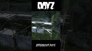 DayZ  The BEST Base Locations  Bitterroot [upl. by Atteuqahc]