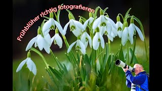 Frühblüher richtig fotografieren [upl. by Ellesij]