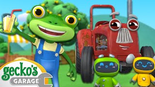 Muddy Water Rescue  Geckos Garage  Brand New Season 6 Episode  Truck Cartoons For Children [upl. by Elylrac897]