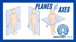 Planes of Motion amp Axes of Rotation [upl. by Wharton]