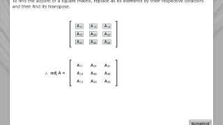 Adjoint Matrix [upl. by Kip]