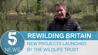 Environment Rewilding projects launched across England and Wales by the Wildlife Trust  5 News [upl. by Roter627]