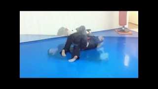 Goshindo en Madrid Montero Budo Kai [upl. by Ylrahc]