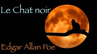 Livre audio  Le Chat noir Edgar Allan Poe [upl. by Ardyaf]